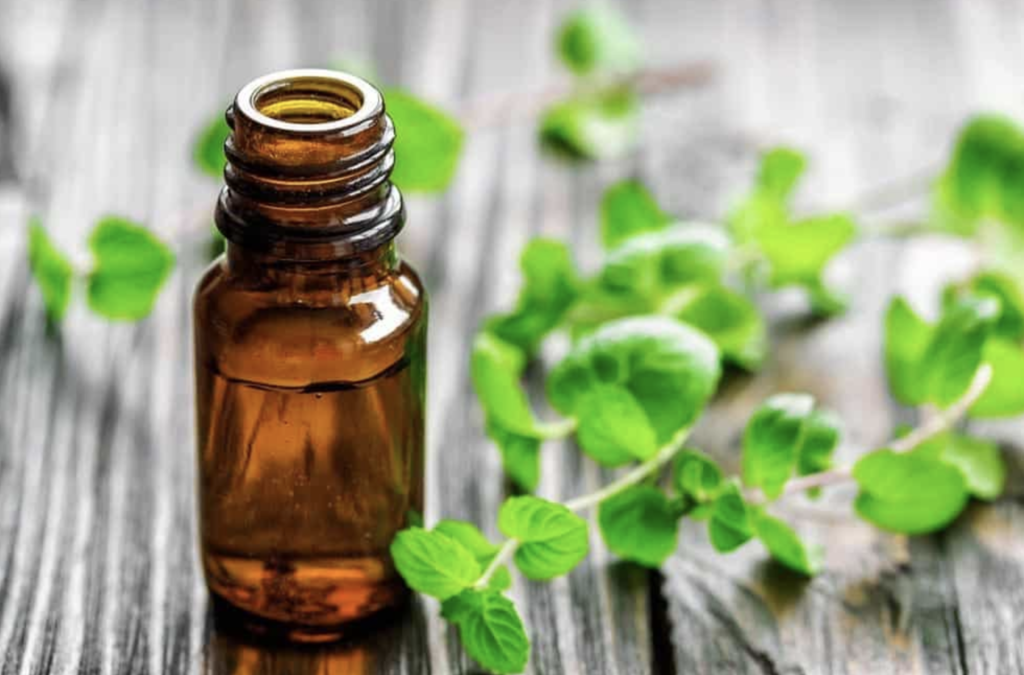 Essential Oils: Helping Your Animals Stay Healthy